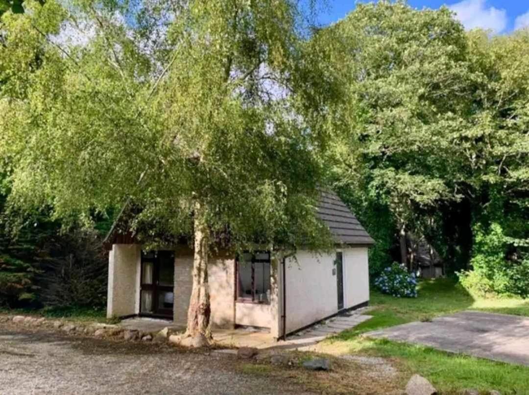 St Ives Bluebell Cottage Exterior foto